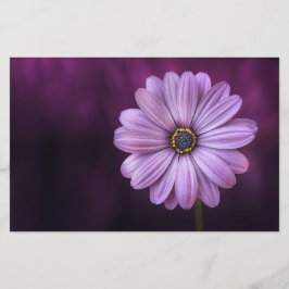 Papelaria Flor Roxo no Bloom