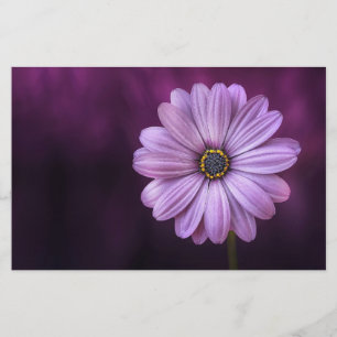 Papelaria Flor Roxo no Bloom