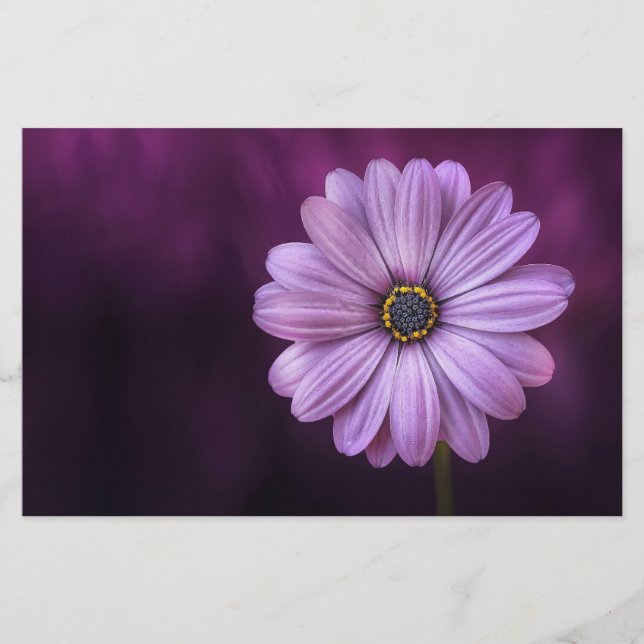 Papelaria Flor Roxo no Bloom (Frente)