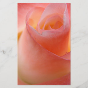 Papelaria Floral de Rosa Pink Personalizada