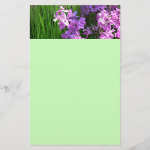Papelaria Floral de Verão e Flox Rosa