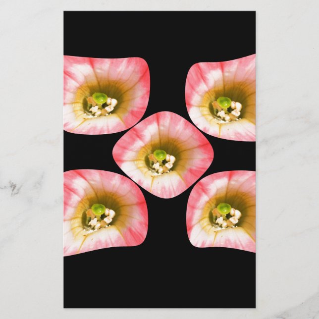 Papelaria Floral Delight (Frente)