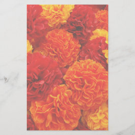 Papelaria Flores