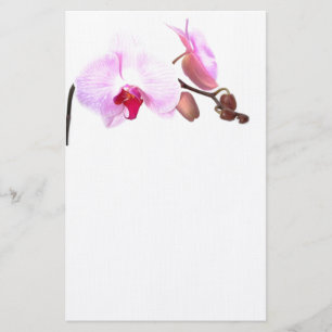 Papelaria Flores da orquídea de Aziza