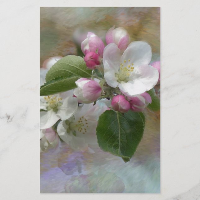 Papelaria Flores de Árvore de Maçã (Frente)