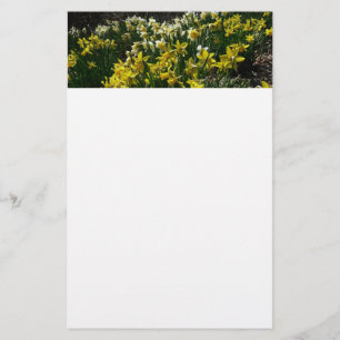 Papelaria Flores de primavera de Daffodils Amarelos e Branco