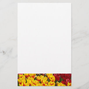 Papelaria Flores de Tulipas Papel de Carta Primavera Tulipas