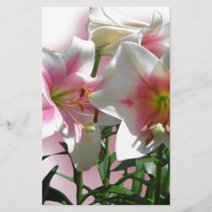 Papelaria Flores Fogem Festa de Chá de Amor Primavera