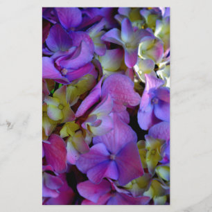 Papelaria Flores magenta púrpura amarelas Hydrangas