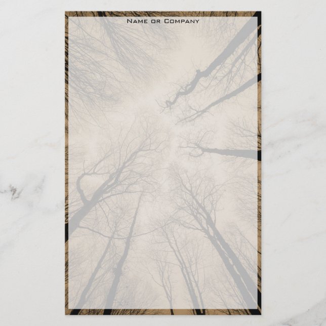 Papelaria Floresta Assustadora (Frente)