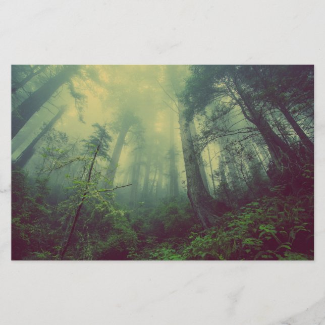 Papelaria Floresta De Baixo (Frente)