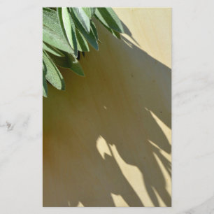 Papelaria Folhas botânicas verdes elegantes Ervas frescas co