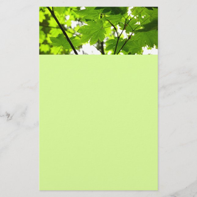 Papelaria Folhas de Maple com Gotas de Rainha (Frente)