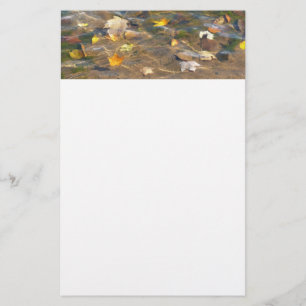Papelaria Folhas de queda na fotografia natural de água doce