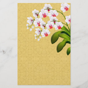 Papelaria Folheto das Orquídeas de Phalaenopse Branca