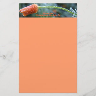 Papelaria Fosco leve, California Poppy