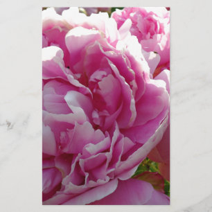 Papelaria Foto rosa de Peony caseiro caseiro caseiro floral