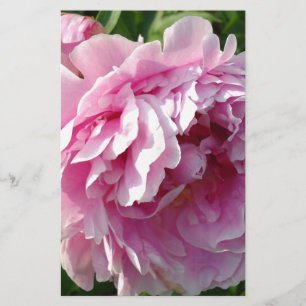 Papelaria Foto rosa de Peony caseiro caseiro caseiro floral