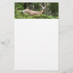 Papelaria Fotografia Animal Yosemite Deer Nature