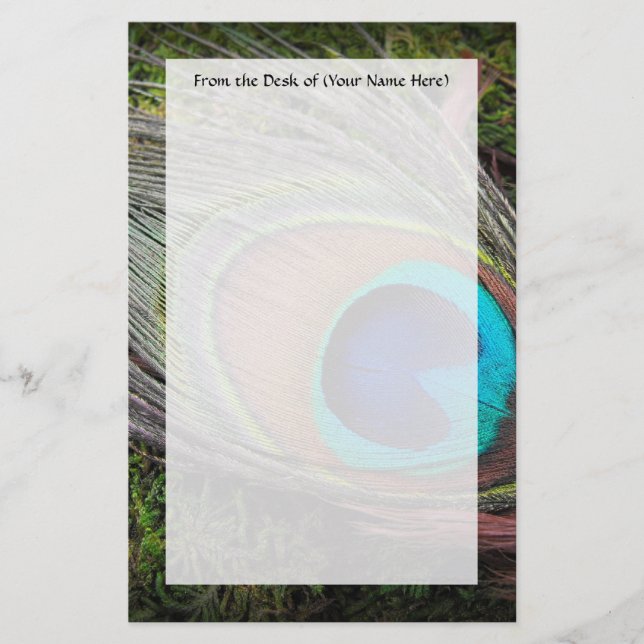 Papelaria Fotografia rica, elegante da pena do pavão (Frente)