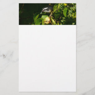 Papelaria Fotografia tropical de alimentação de aves de Ba