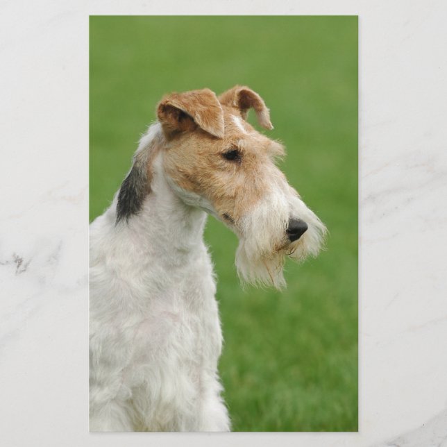Papelaria Fox Terrier (Frente)