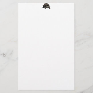 Papelaria Galápagos/tartaruga gigante de Galápagos