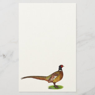 Papelaria Galo de Cabeça de Ringneck
