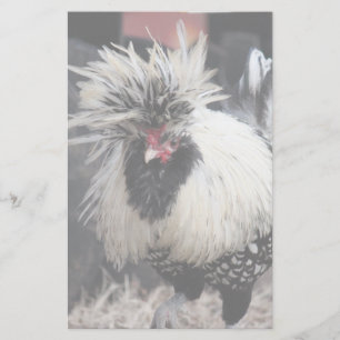 Papelaria Galo Pecado Polonês