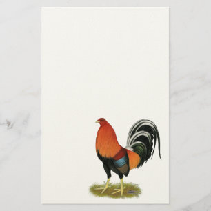 Papelaria Gamecock Wheaten Rooster