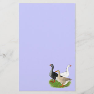 Papelaria Gansos:  Trio Tufado