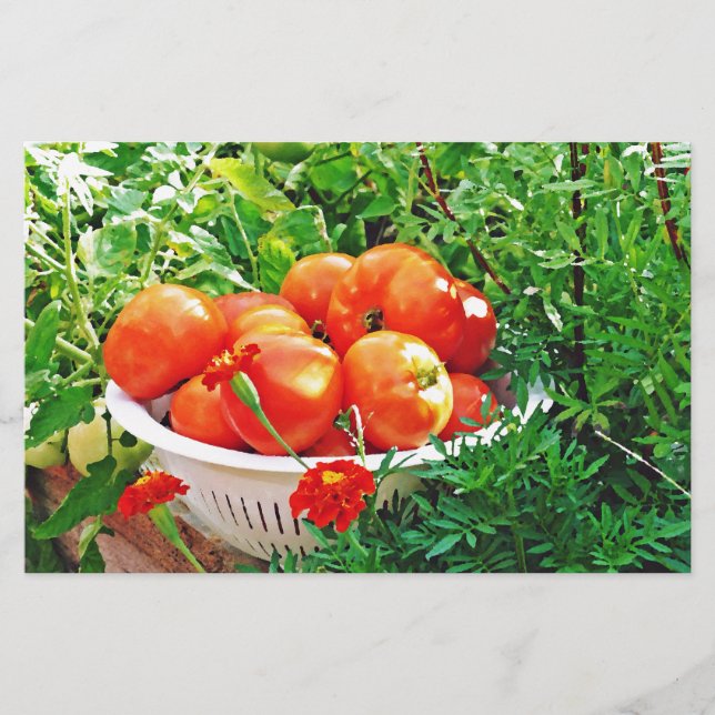 Papelaria Garden Goodies (Frente)