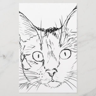 Papelaria Gatinho