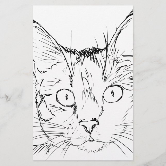 Papelaria Gatinho (Frente)