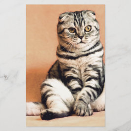 Papelaria Gatinho Bonito Desenterrado
