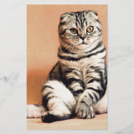 Papelaria Gatinho Bonito Desenterrado