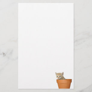 Papelaria Gatinho do Flowerpot
