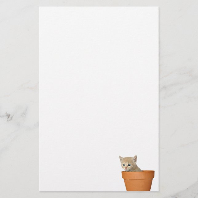 Papelaria Gatinho do Flowerpot (Frente)