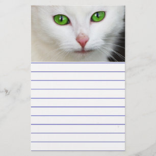 Papelaria Gato Branco Olhado Verde