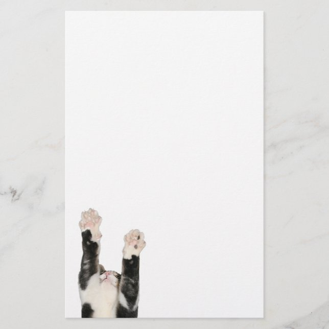 Papelaria Gato de gatinho jogado (Frente)