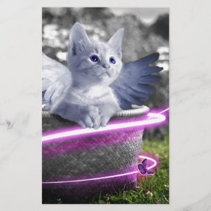 Papelaria gato-do-anjo