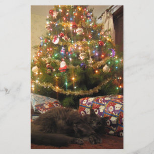Papelaria Gato do Natal
