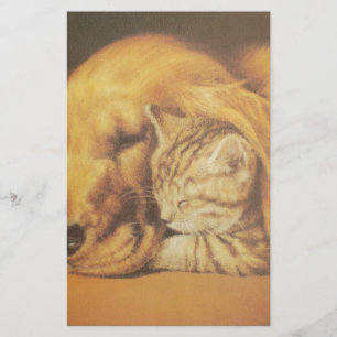 Papelaria Gato e Cão