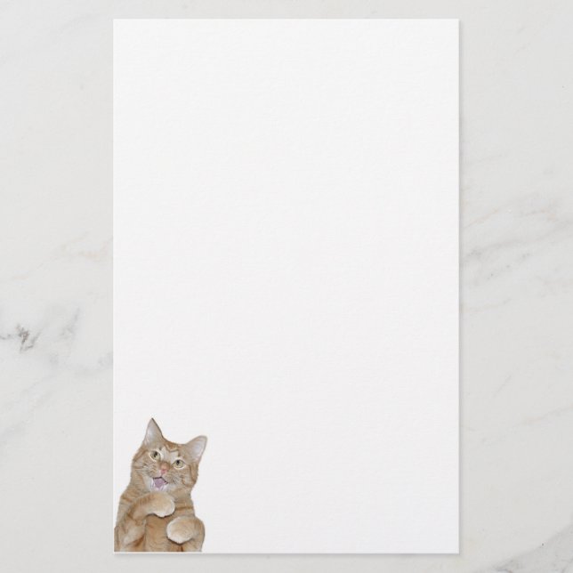 Papelaria Gato feliz (Frente)