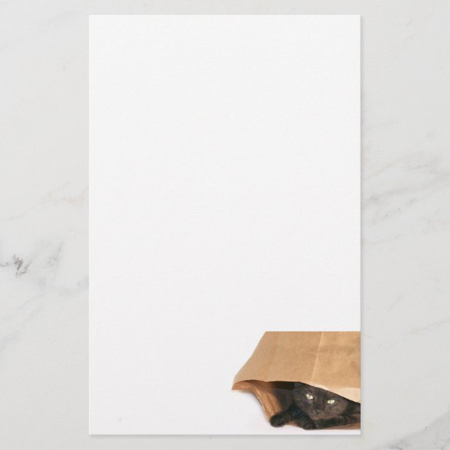 Papelaria Gato no saco (Frente)