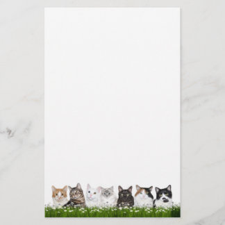 Papelaria Gatos do gatinho nas margaridas