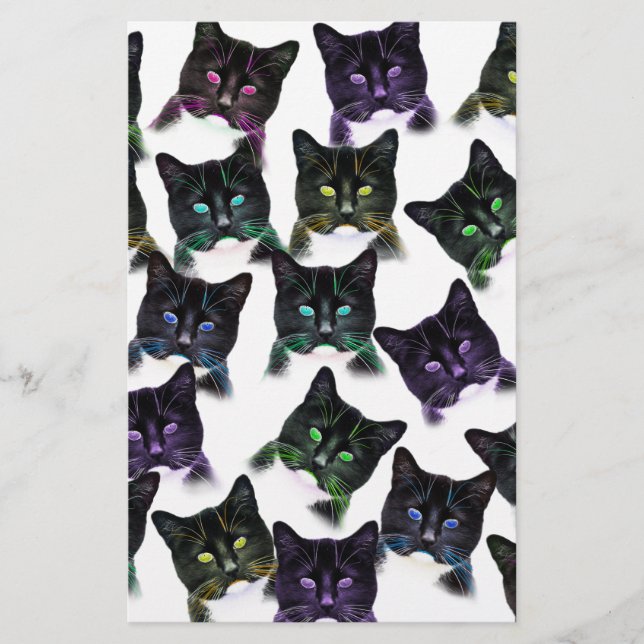 Papelaria Gatos legal (Frente)