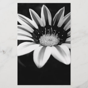 Papelaria Gazania