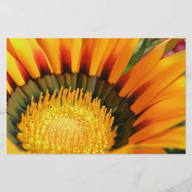 Papelaria Gazania (Frente)