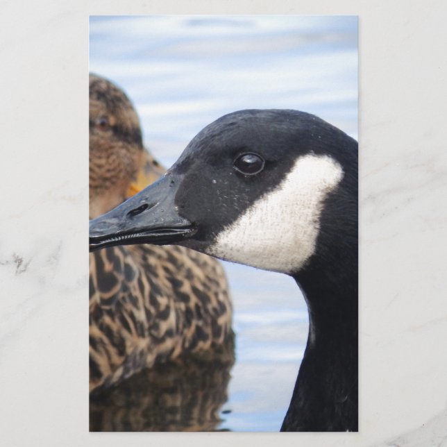 Papelaria Gaze (Frente)